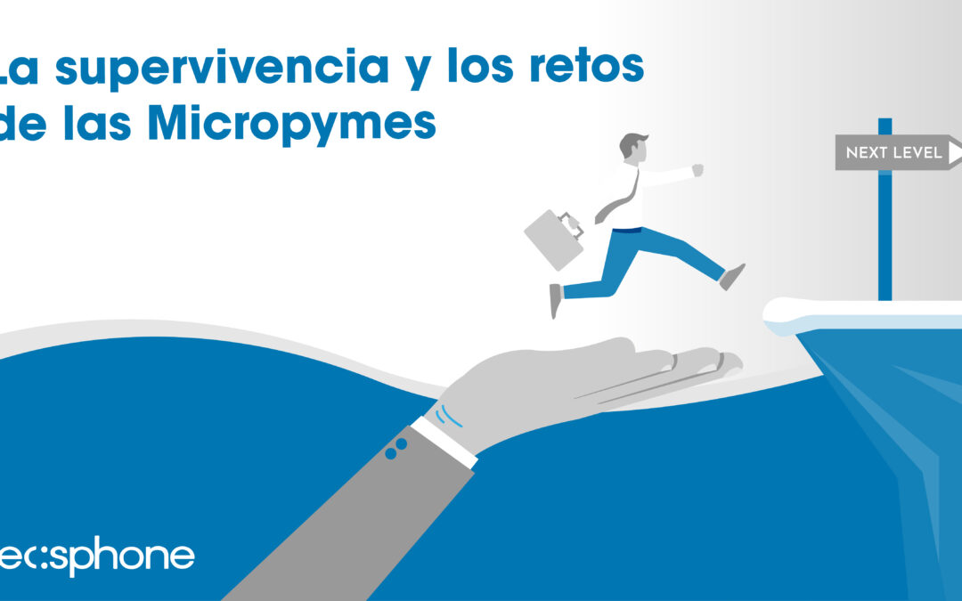 La supervivencia y los retos de las Micropymes